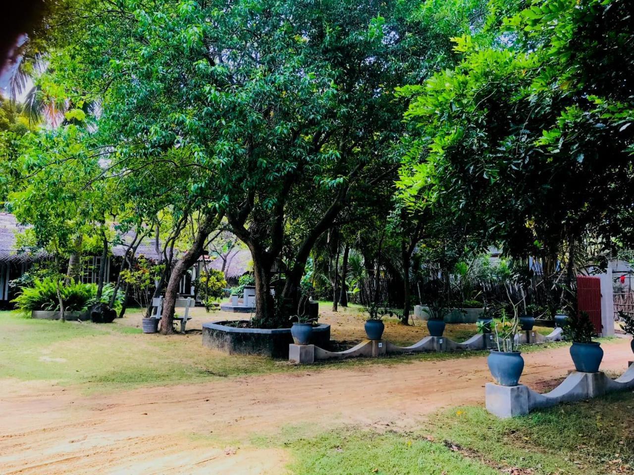 Werala Beach Resort Kalpitiya Eksteriør billede