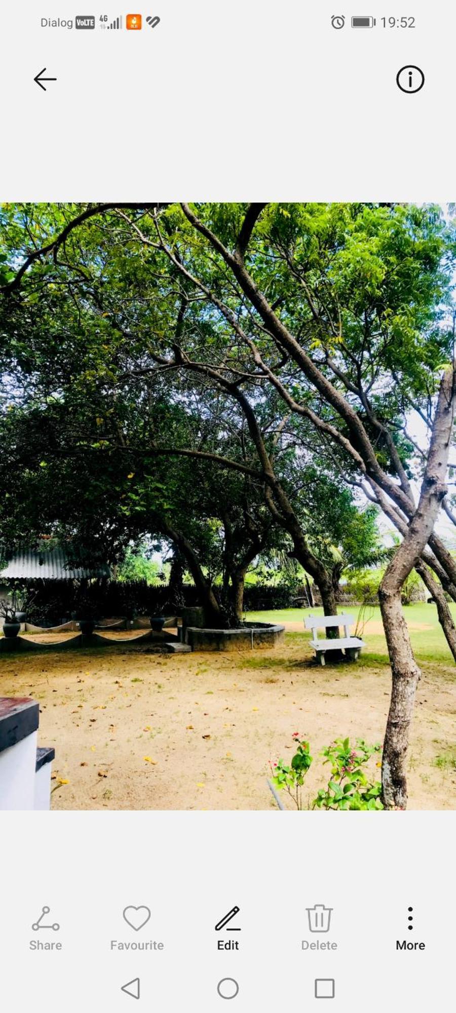 Werala Beach Resort Kalpitiya Eksteriør billede